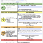 SMART Asthma Action Plan - 6-17 Years